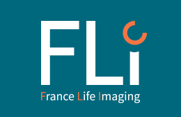 logo-FLI
